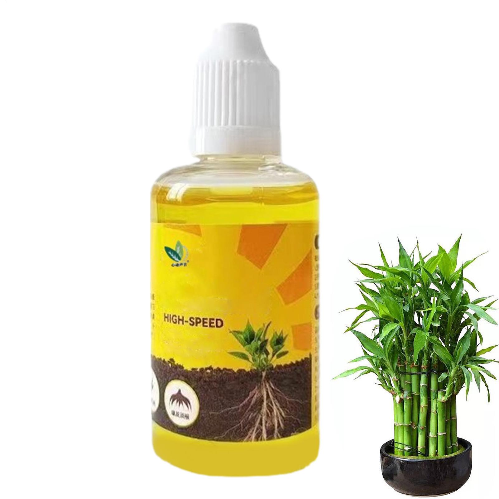 Root Stimulator Liquid - Estimulador de Enraizamento de Plantas Líquido,