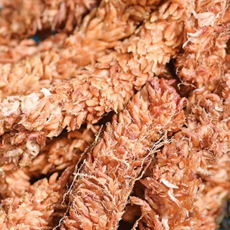 Musgo Sphagnum Chileno 150g, M - Sphagnum Moss Dry avaliação e preço
