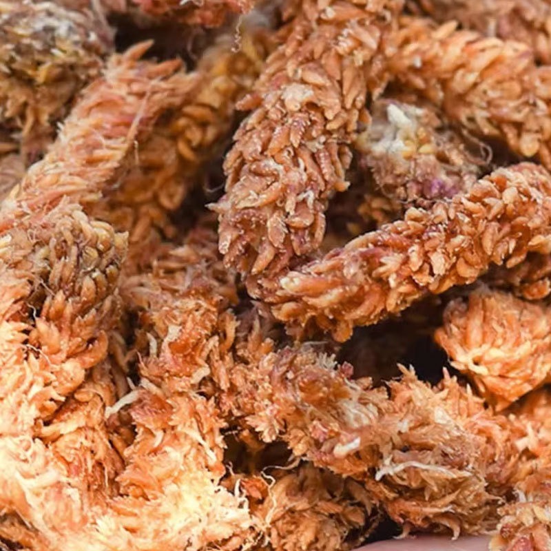 Musgo Sphagnum Chileno 150g, M - Sphagnum Moss Dry avaliação e preço